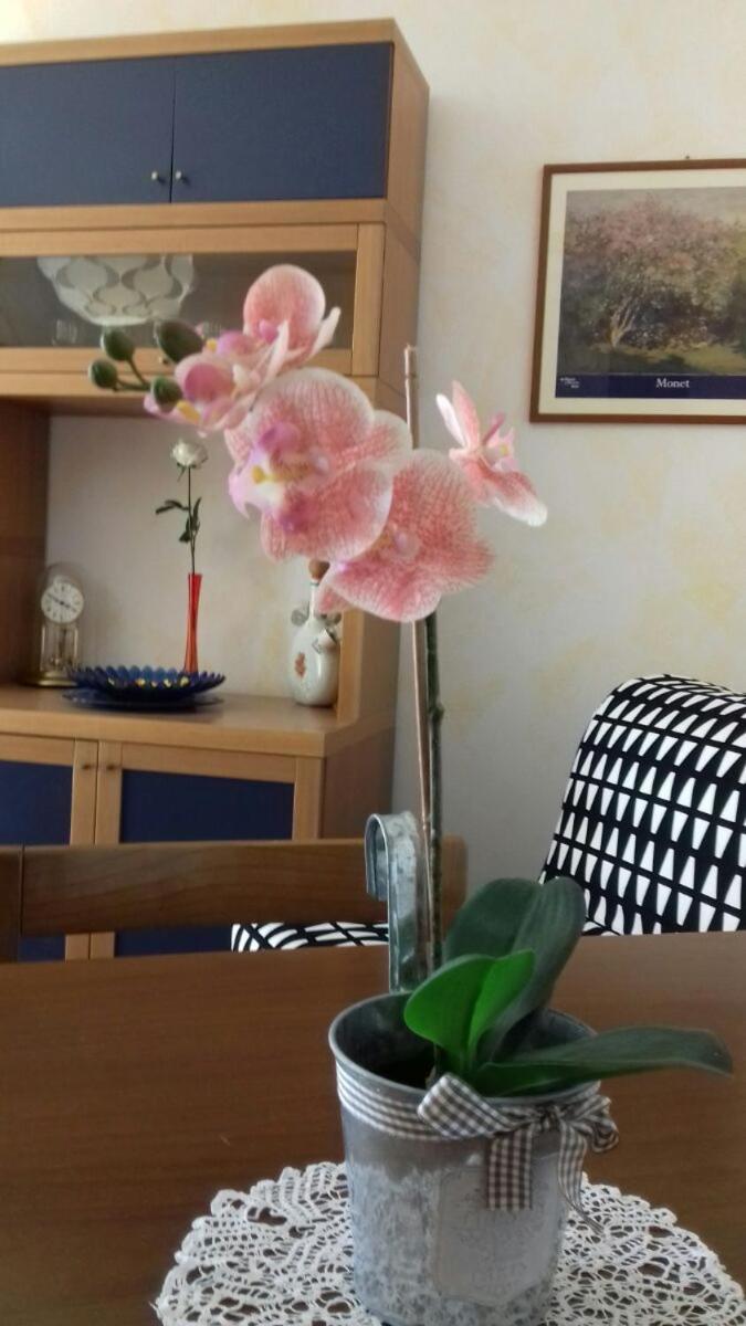 Villa Ramella Baveno Eksteriør bilde